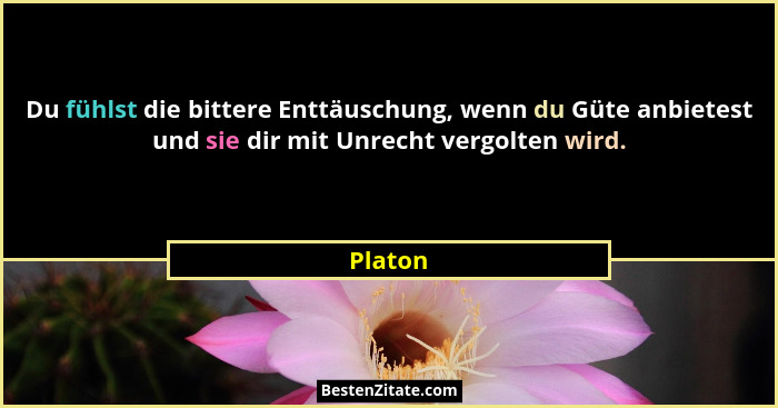 Du fühlst die bittere Enttäuschung, wenn du Güte anbietest und sie dir mit Unrecht vergolten wird.... - Platon