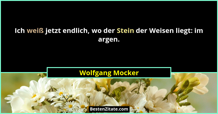 Ich weiß jetzt endlich, wo der Stein der Weisen liegt: im argen.... - Wolfgang Mocker