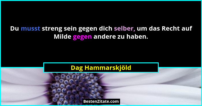 Du musst streng sein gegen dich selber, um das Recht auf Milde gegen andere zu haben.... - Dag Hammarskjöld