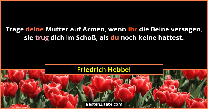Trage deine Mutter auf Armen, wenn ihr die Beine versagen, sie trug dich im Schoß, als du noch keine hattest.... - Friedrich Hebbel
