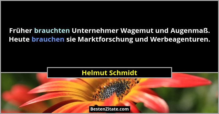 Früher brauchten Unternehmer Wagemut und Augenmaß. Heute brauchen sie Marktforschung und Werbeagenturen.... - Helmut Schmidt
