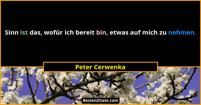 Sinn ist das, wofür ich bereit bin, etwas auf mich zu nehmen.... - Peter Cerwenka