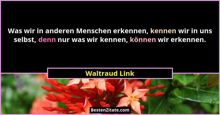 Was wir in anderen Menschen erkennen, kennen wir in uns selbst, denn nur was wir kennen, können wir erkennen.... - Waltraud Link