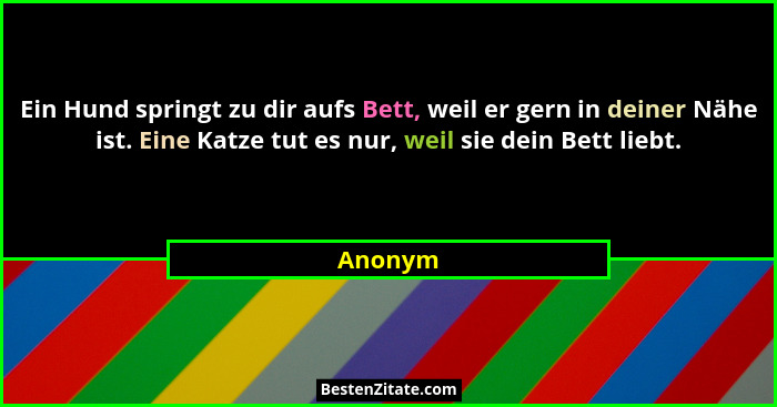 Ein Hund springt zu dir aufs Bett, weil er gern in deiner Nähe ist. Eine Katze tut es nur, weil sie dein Bett liebt.... - Anonym