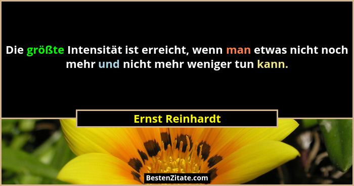 Die größte Intensität ist erreicht, wenn man etwas nicht noch mehr und nicht mehr weniger tun kann.... - Ernst Reinhardt