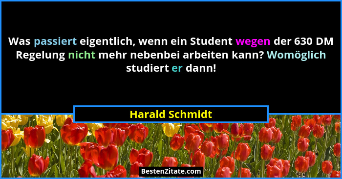 Was passiert eigentlich, wenn ein Student wegen der 630 DM Regelung nicht mehr nebenbei arbeiten kann? Womöglich studiert er dann!... - Harald Schmidt