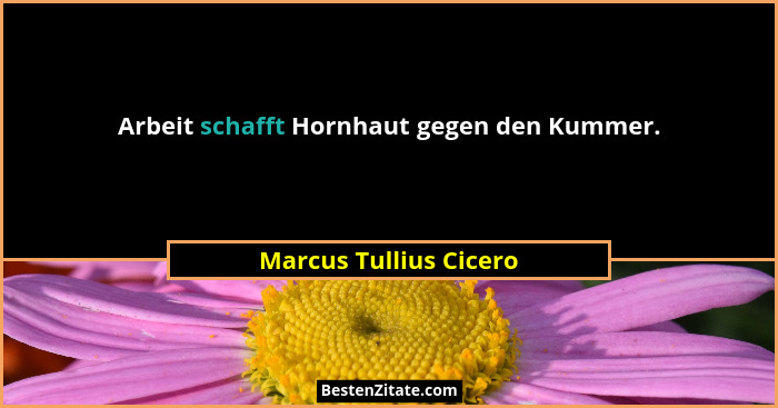 Arbeit schafft Hornhaut gegen den Kummer.... - Marcus Tullius Cicero