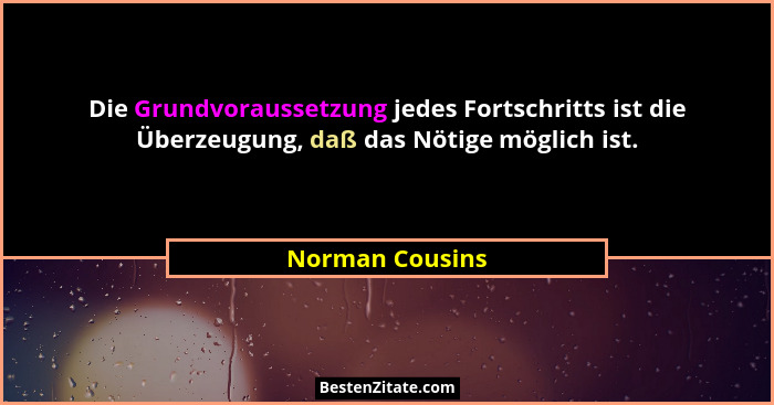 Die Grundvoraussetzung jedes Fortschritts ist die Überzeugung, daß das Nötige möglich ist.... - Norman Cousins