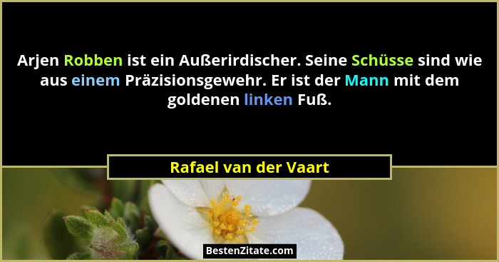 Arjen Robben ist ein Außerirdischer. Seine Schüsse sind wie aus einem Präzisionsgewehr. Er ist der Mann mit dem goldenen linken... - Rafael van der Vaart