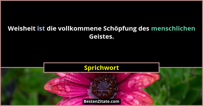 Weisheit ist die vollkommene Schöpfung des menschlichen Geistes.... - Sprichwort