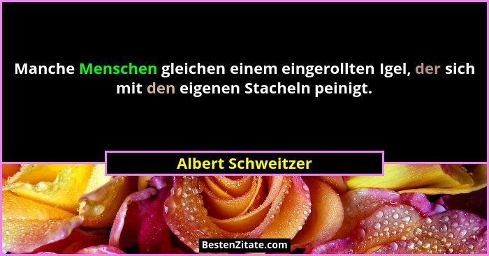 Manche Menschen gleichen einem eingerollten Igel, der sich mit den eigenen Stacheln peinigt.... - Albert Schweitzer