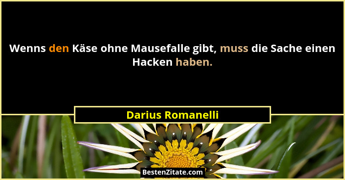 Wenns den Käse ohne Mausefalle gibt, muss die Sache einen Hacken haben.... - Darius Romanelli