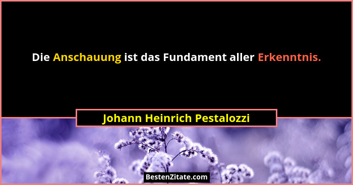 Die Anschauung ist das Fundament aller Erkenntnis.... - Johann Heinrich Pestalozzi