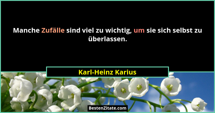 Manche Zufälle sind viel zu wichtig, um sie sich selbst zu überlassen.... - Karl-Heinz Karius