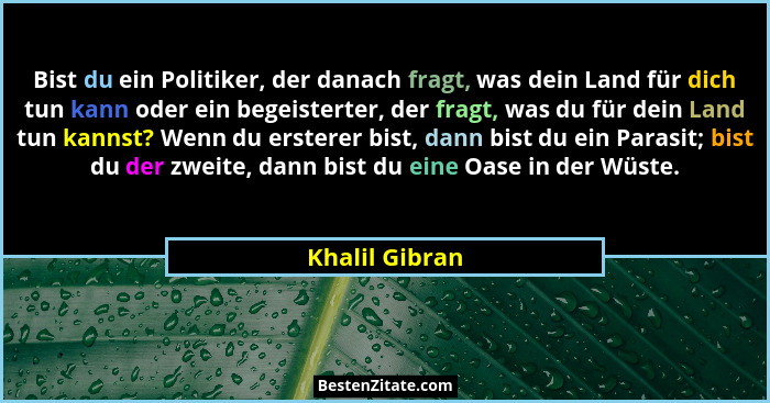 Bist du ein Politiker, der danach fragt, was dein Land für dich tun kann oder ein begeisterter, der fragt, was du für dein Land tun ka... - Khalil Gibran
