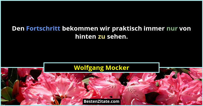 Den Fortschritt bekommen wir praktisch immer nur von hinten zu sehen.... - Wolfgang Mocker