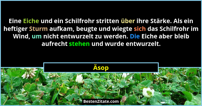 Eine Eiche und ein Schilfrohr stritten über ihre Stärke. Als ein heftiger Sturm aufkam, beugte und wiegte sich das Schilfrohr im Wind, um nicht... - Äsop