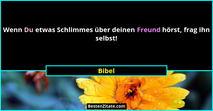 Wenn Du etwas Schlimmes über deinen Freund hörst, frag ihn selbst!... - Bibel