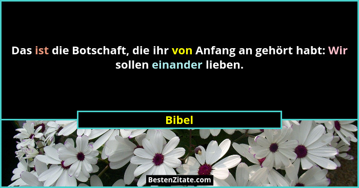 Das ist die Botschaft, die ihr von Anfang an gehört habt: Wir sollen einander lieben.... - Bibel
