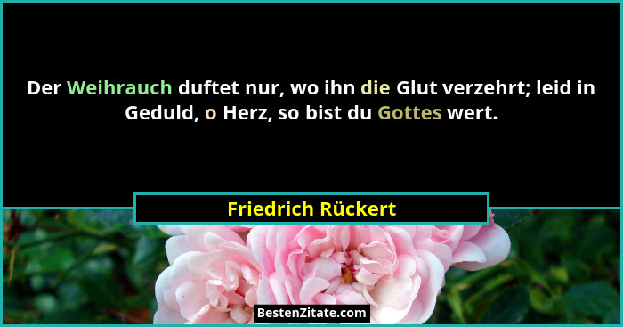 Der Weihrauch duftet nur, wo ihn die Glut verzehrt; leid in Geduld, o Herz, so bist du Gottes wert.... - Friedrich Rückert