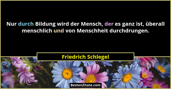 Nur durch Bildung wird der Mensch, der es ganz ist, überall menschlich und von Menschheit durchdrungen.... - Friedrich Schlegel