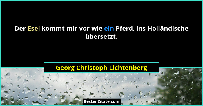 Der Esel kommt mir vor wie ein Pferd, ins Holländische übersetzt.... - Georg Christoph Lichtenberg
