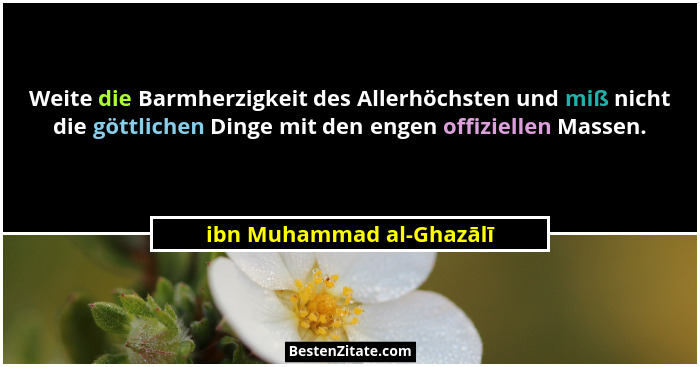Weite die Barmherzigkeit des Allerhöchsten und miß nicht die göttlichen Dinge mit den engen offiziellen Massen.... - ibn Muhammad al-Ghazālī