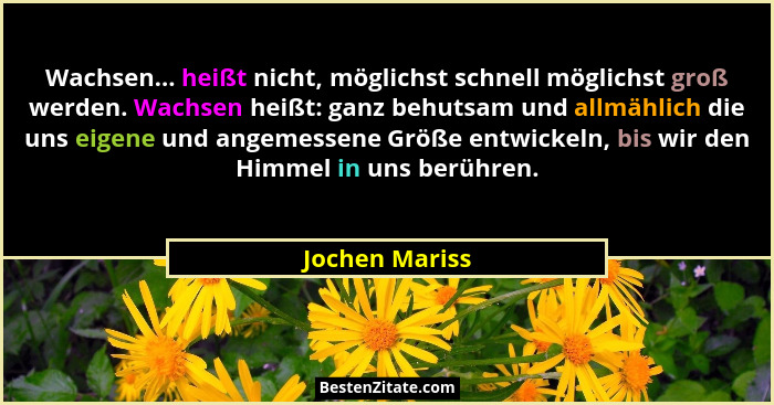 Wachsen... heißt nicht, möglichst schnell möglichst groß werden. Wachsen heißt: ganz behutsam und allmählich die uns eigene und angeme... - Jochen Mariss