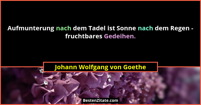 Aufmunterung nach dem Tadel ist Sonne nach dem Regen - fruchtbares Gedeihen.... - Johann Wolfgang von Goethe