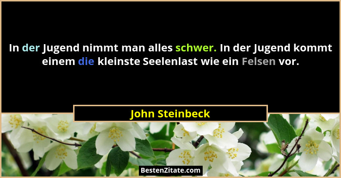 In der Jugend nimmt man alles schwer. In der Jugend kommt einem die kleinste Seelenlast wie ein Felsen vor.... - John Steinbeck