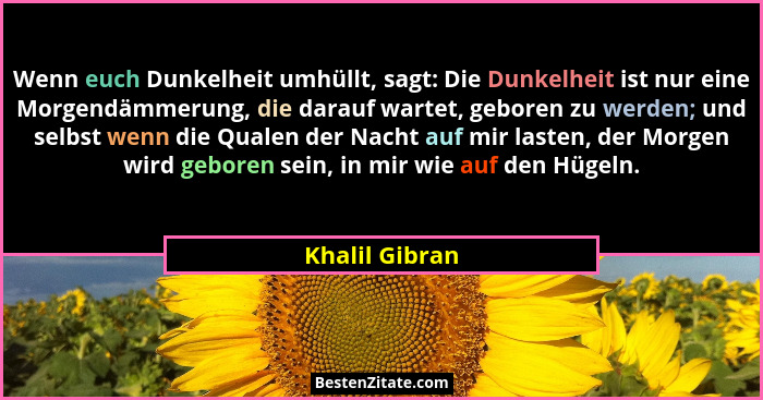 Wenn euch Dunkelheit umhüllt, sagt: Die Dunkelheit ist nur eine Morgendämmerung, die darauf wartet, geboren zu werden; und selbst wenn... - Khalil Gibran