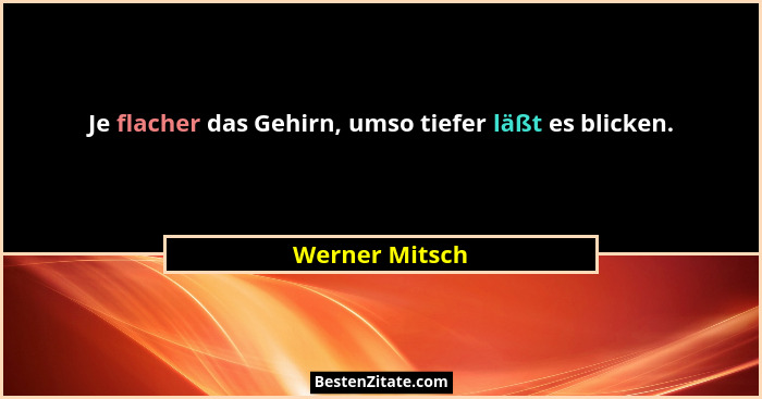 Je flacher das Gehirn, umso tiefer läßt es blicken.... - Werner Mitsch