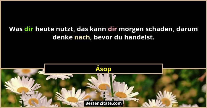 Was dir heute nutzt, das kann dir morgen schaden, darum denke nach, bevor du handelst.... - Äsop