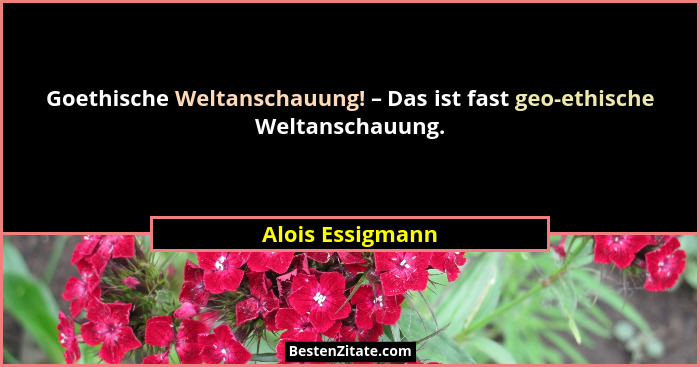 Goethische Weltanschauung! – Das ist fast geo-ethische Weltanschauung.... - Alois Essigmann