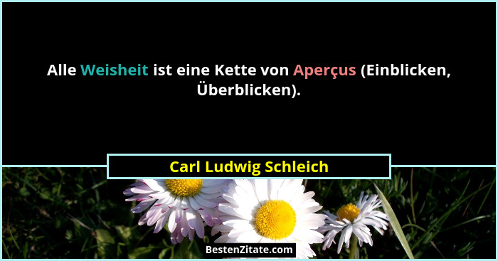 Alle Weisheit ist eine Kette von Aperçus (Einblicken, Überblicken).... - Carl Ludwig Schleich