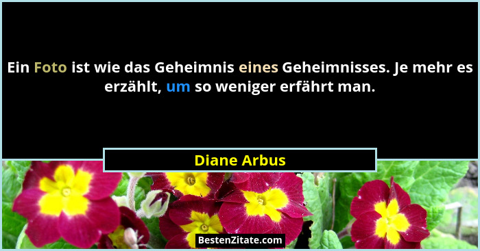 Ein Foto ist wie das Geheimnis eines Geheimnisses. Je mehr es erzählt, um so weniger erfährt man.... - Diane Arbus
