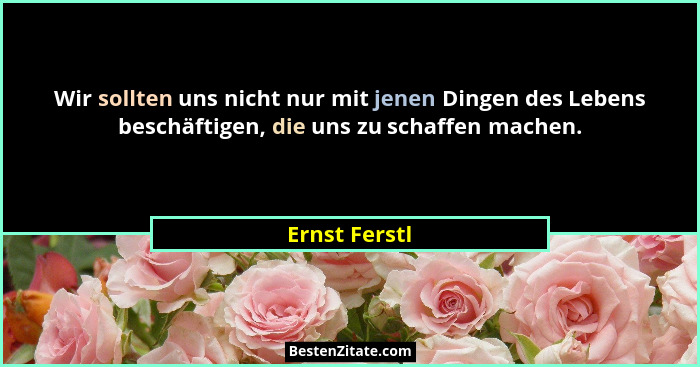 Wir sollten uns nicht nur mit jenen Dingen des Lebens beschäftigen, die uns zu schaffen machen.... - Ernst Ferstl