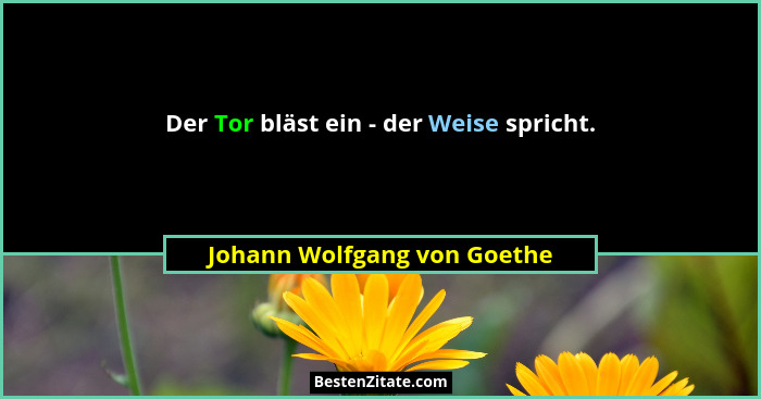 Der Tor bläst ein - der Weise spricht.... - Johann Wolfgang von Goethe