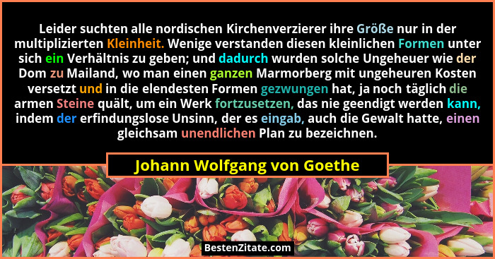 Leider suchten alle nordischen Kirchenverzierer ihre Größe nur in der multiplizierten Kleinheit. Wenige verstanden diesen... - Johann Wolfgang von Goethe