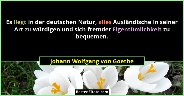 Es liegt in der deutschen Natur, alles Ausländische in seiner Art zu würdigen und sich fremder Eigentümlichkeit zu bequem... - Johann Wolfgang von Goethe