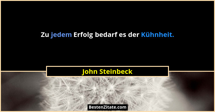 Zu jedem Erfolg bedarf es der Kühnheit.... - John Steinbeck