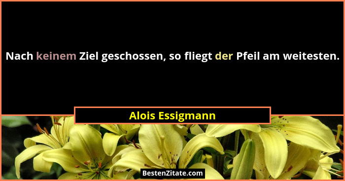 Nach keinem Ziel geschossen, so fliegt der Pfeil am weitesten.... - Alois Essigmann