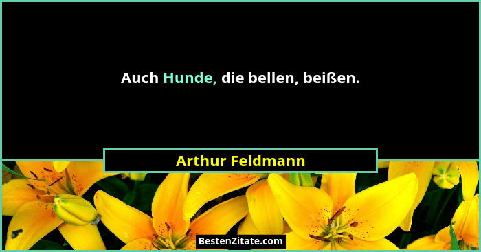 Auch Hunde, die bellen, beißen.... - Arthur Feldmann