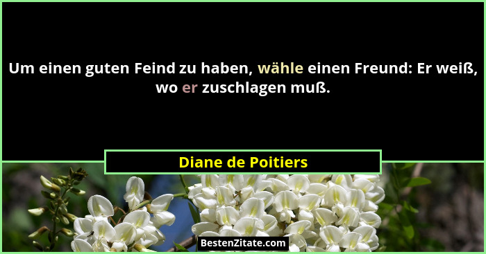 Um einen guten Feind zu haben, wähle einen Freund: Er weiß, wo er zuschlagen muß.... - Diane de Poitiers