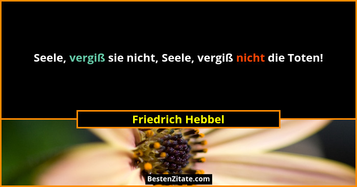 Seele, vergiß sie nicht, Seele, vergiß nicht die Toten!... - Friedrich Hebbel