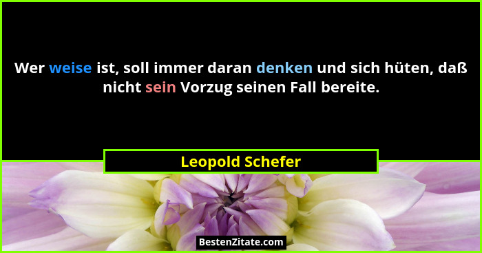 Wer weise ist, soll immer daran denken und sich hüten, daß nicht sein Vorzug seinen Fall bereite.... - Leopold Schefer