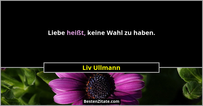 Liebe heißt, keine Wahl zu haben.... - Liv Ullmann