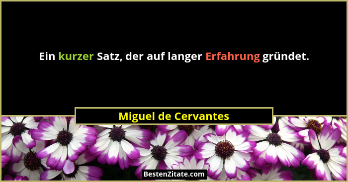 Ein kurzer Satz, der auf langer Erfahrung gründet.... - Miguel de Cervantes