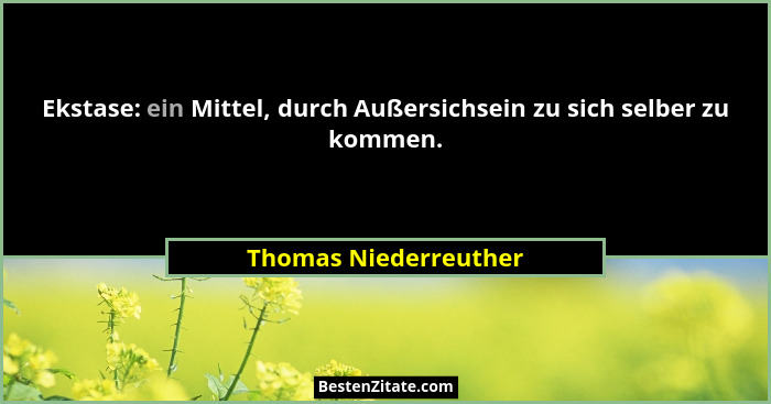 Ekstase: ein Mittel, durch Außersichsein zu sich selber zu kommen.... - Thomas Niederreuther