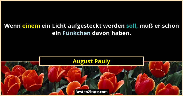 Wenn einem ein Licht aufgesteckt werden soll, muß er schon ein Fünkchen davon haben.... - August Pauly